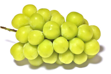 シャインマスカット