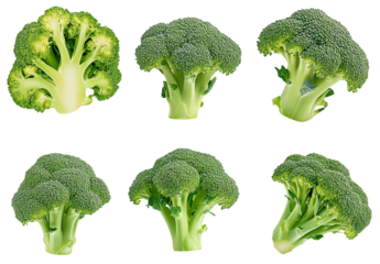 Vibrant green broccoli florets display a fresh and healthy aesthetic on a clean background