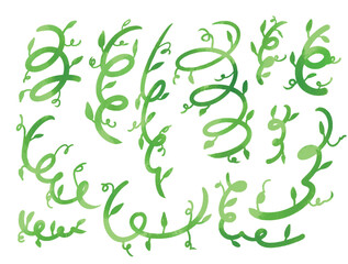 Collection of Watercolor Twirly plant and Leaves Vector Elements
