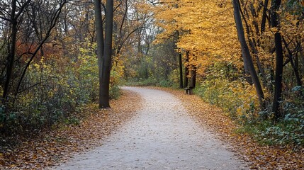 Obraz premium A path winding through a peaceful park, surrounded by nature.