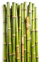 bamboo sticks isolated on white