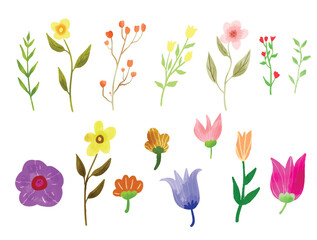 Collection of Watercolor Wildflower Florals and Leaves Vector Elements