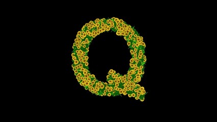Beautiful illustration of English alphabet Q with green leaves and yellow daisy flowers on plain black background