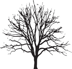 tree without leaves  transparent background, Black silhouette of a tree