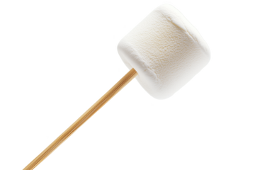 A fluffy marshmallow on a stick ready for roasting over an open fire