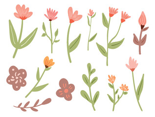 Obraz premium Collection of Pink Flower Florals and Leaves Vector Elements