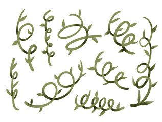 Collection of Watercolor Twirly plant and Leaves Vector Elements