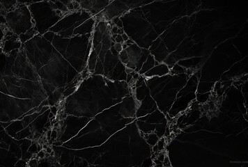Black Marble Surface with Intricate White Veining