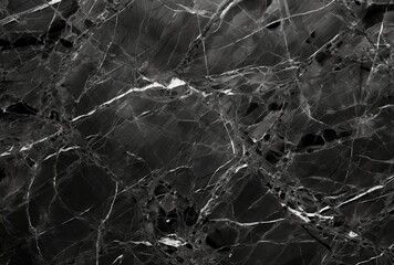 Black Marble with White Veins and Cracks