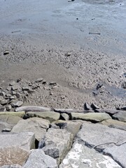 
It is a beach with rocky banks and mud.