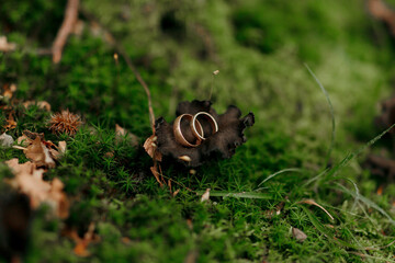 A couple's wedding rings are on a mossy leaf. Scene is romantic and intimate