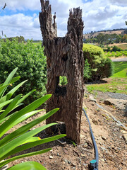 Wooden post, handmade for farm use