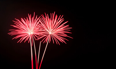 Brilliant red firework explosion against dark night sky. Vibrant pyrotechnic display with radial light trails. Festive celebration imagery with copy space for holiday or event themes.