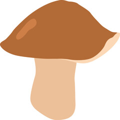 
A brown mushroom grows in the forest.