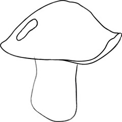 A doodle mushroom grows in the forest.
