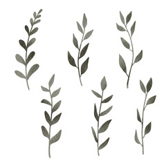 Watercolor Leaves Element Vector Collection