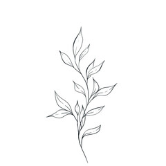 illustrations of flowers /Lain Art