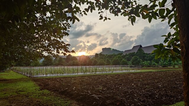Tham Luang Fields Thailand