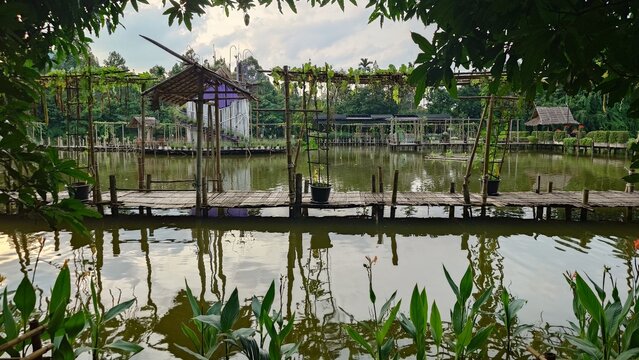 Tham Luang Pond Thailand