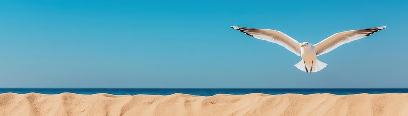 Fototapeta premium A seagull gliding gracefully above a serene beach, wings spread wide against a peaceful blue sky, capturing a sense of freedom and calm seagull, freedom, tranquility, coastal scene