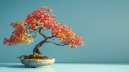 Bonsai Tree with Red and Orange Leaves