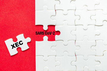 XEC, the newest subvariant of the SARS CoV-2 virus. White puzzles on a red background reveal the...