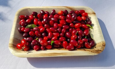 cornelian cherry on a plate