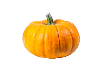 Vibrant Orange Pumpkin in Crisp Natural Light, Freshly Harvested Autumn Vegetable Isolated 