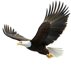 Fototapeta premium A majestic eagle in flight, showcasing its powerful wings and sharp talons. transparent background