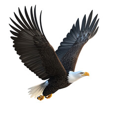 Naklejka premium Eagle flying with outstretched wings, white isolate background transparent background