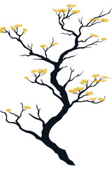 Fototapeta premium Elegant Tree Branch with Yellow Flowers on transparent background