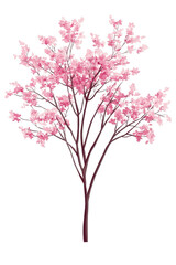 Fototapeta premium Pink Blooming Flowering Tree Illustration on transparent background