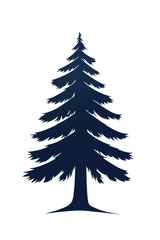 Tall Evergreen Tree Silhouette Against Transparent Background