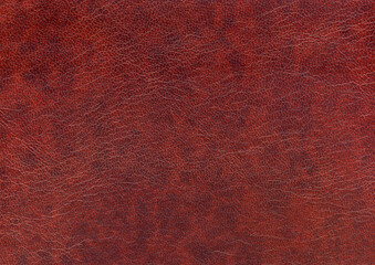 burgundy background with artificial leather texture with blurred pattern