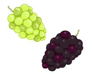 ブドウとマスカット