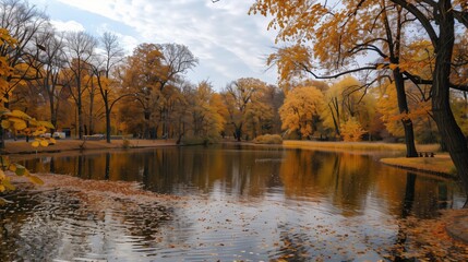 Obraz premium A park with a bench and trees with leaves on the ground