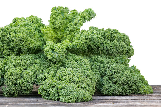 Gr&uuml;nkohl - Superfood und Wintergem&uuml;se 