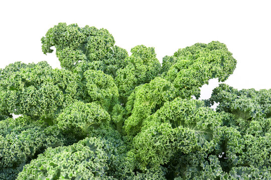 Gr&uuml;nkohl, Gruenkohl