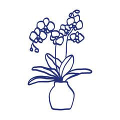 Potted orchid sketch. Vector indoor flower in a pot. Doodle black and white outline illustration of a plant