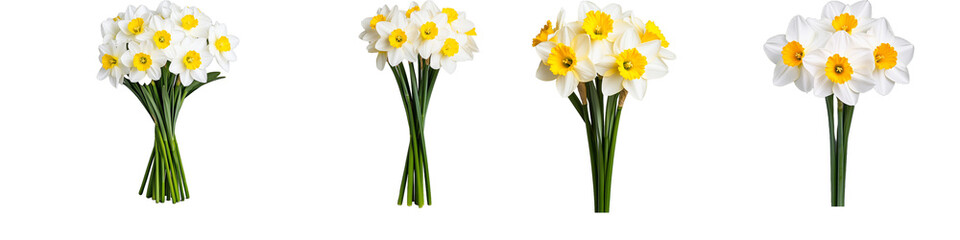 Elegant collection of daffodil bouquets with vibrant yellow centers on a transparent background showcasing freshness and natural beauty