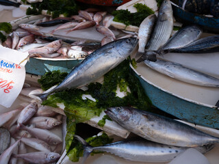 Fish in open seamarket