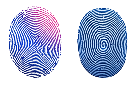 Abstract fingerprint with blue and pink swirl isolate on transparent background, png, cutout