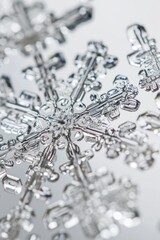 Intricate Snowflake Close-Up