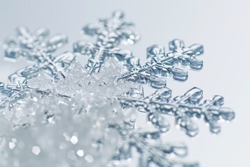 Intricate Patterns of a Snowflake