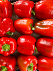 Fresh and Vibrant Bell Peppers – Red, Yellow, and Green Capsicum for Healthy Vegetarian Salads and Colorful Cooking Ingredients