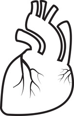 black anatomical heart Human heart - anatomical vector drawing, printmaking, black and white drawing for printing. Scalable drawing. anatomical heart hand drawn vector
..