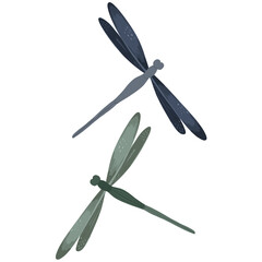 Dragonfly illustration 