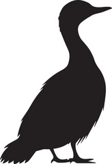 silhouette of a duck,bird, swan, animal, duck, goose, illustration, vector, silhouette, nature, cartoon, water, beak, icon, black, wild, lake, drawing, wildlife, birds, design, feather, love, art, sym