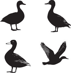 silhouette of a duck,bird, swan, animal, duck, goose, illustration, vector, silhouette, nature, cartoon, water, beak, icon, black, wild, lake, drawing, wildlife, birds, design, feather, love, art, sym