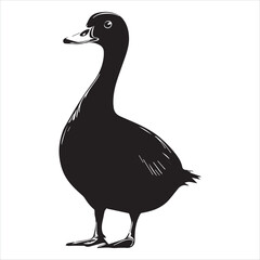silhouette of a duck,bird, swan, animal, duck, goose, illustration, vector, silhouette, nature, cartoon, water, beak, icon, black, wild, lake, drawing, wildlife, birds, design, feather, love, art, sym